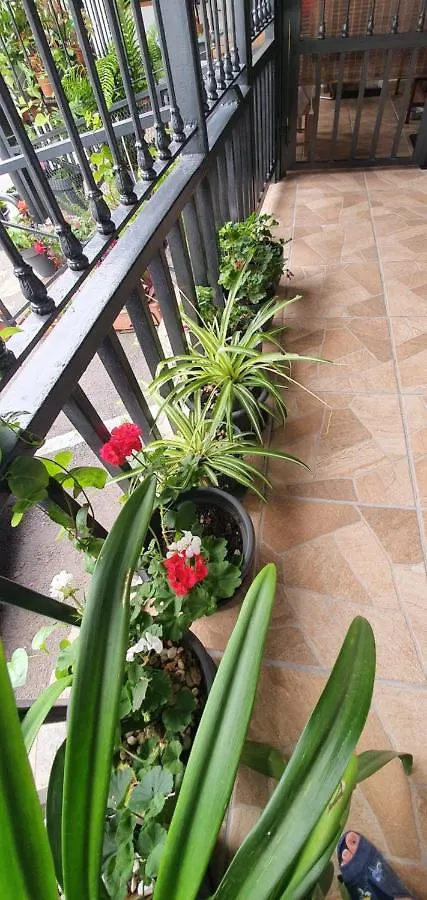 Apartamento Casa Rural EL PUENTE Taganana España